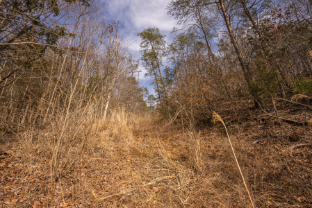 Online-Only Auction – Clinch Riverfront Unrestricted Land Hancock County Tennessee - image 43