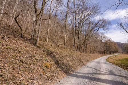 Online-Only Auction – Clinch Riverfront Unrestricted Land Hancock County Tennessee - image 42