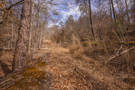 Online-Only Auction – Clinch Riverfront Unrestricted Land Hancock County Tennessee - image 47