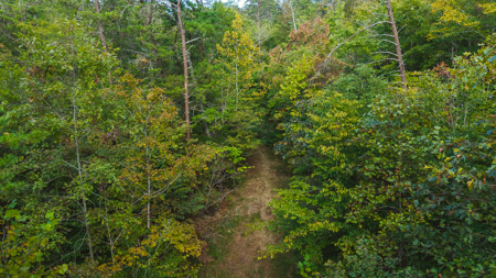 Secluded Riverfront Paradise in East Tennessee's Wilderness - image 19