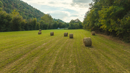 Secluded Riverfront Paradise in East Tennessee's Wilderness - image 24