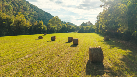 Secluded Riverfront Paradise in East Tennessee's Wilderness - image 16