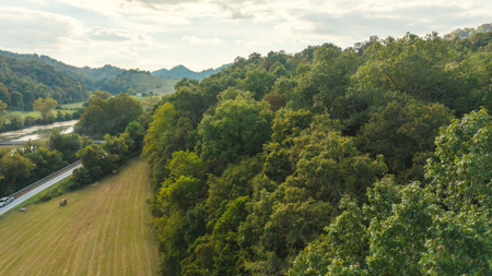 Secluded Riverfront Paradise in East Tennessee's Wilderness - image 25