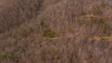Online-Only Auction – Clinch Riverfront Unrestricted Land Hancock County Tennessee - image 34