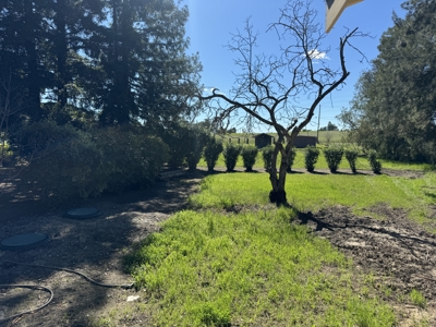 Vacaville, California Home on Acreage in Browns Valley Area for Sale - image 8