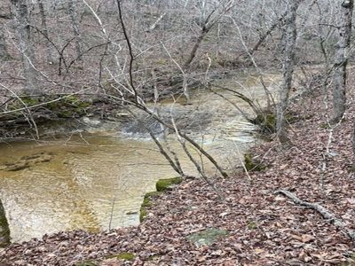 240 Acres With Live Water And Solar Cabin - image 2