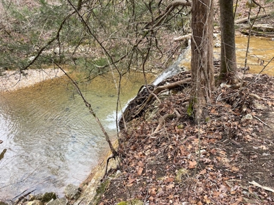 240 Acres With Live Water And Solar Cabin - image 8