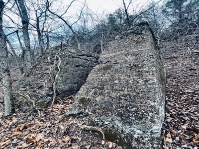 240 Acres With Live Water And Solar Cabin - image 7