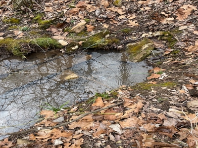 240 Acres With Live Water And Solar Cabin - image 9