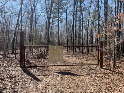 240 Acres With Live Water And Solar Cabin - image 22
