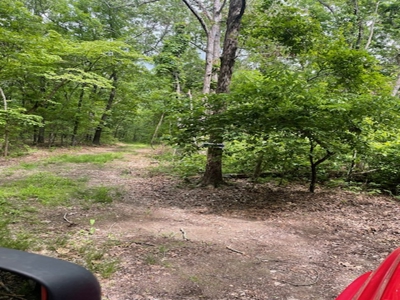 240 Acres With Live Water And Solar Cabin - image 35