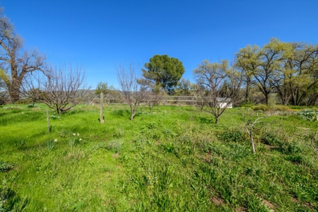 Capay Valley California Country Home on 70 Acres for Sale - image 40