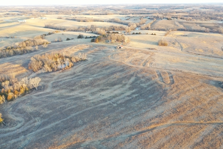 Combination Farm with 151 Acres m/l - image 11