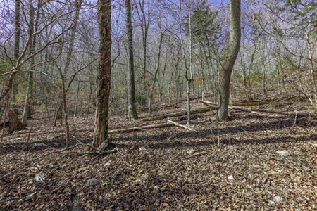 Land For Sale in Hardy, Arkansas - image 14