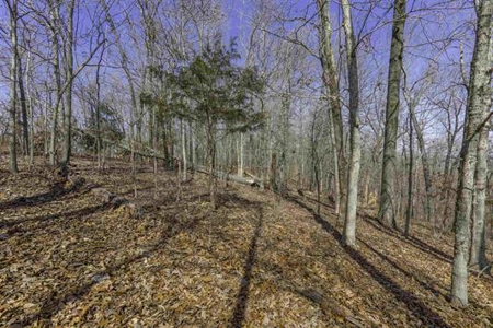 Land For Sale in Hardy, Arkansas - image 2