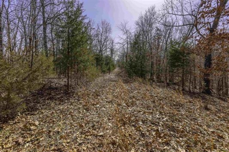 Land For Sale in Hardy, Arkansas - image 8