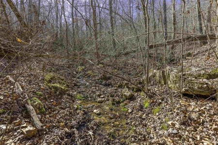 Land For Sale in Hardy, Arkansas - image 11
