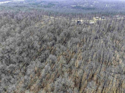 Land For Sale in Hardy, Arkansas - image 9