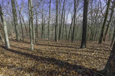 Land For Sale in Hardy, Arkansas - image 4