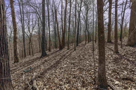 Land For Sale in Hardy, Arkansas - image 6