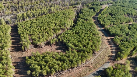 Nashoba, Ok Land For Sale - Hardy Creek Estates Tract #19 - image 6