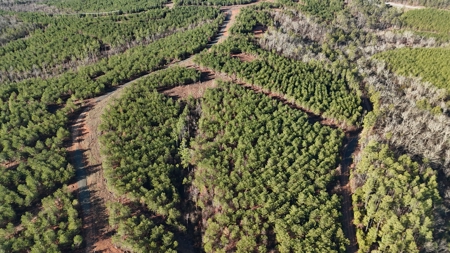 Nashoba, Ok Land For Sale - Hardy Creek Estates Tract #19 - image 3