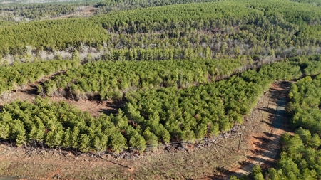 Nashoba, Ok Land For Sale - Hardy Creek Estates Tract #19 - image 4