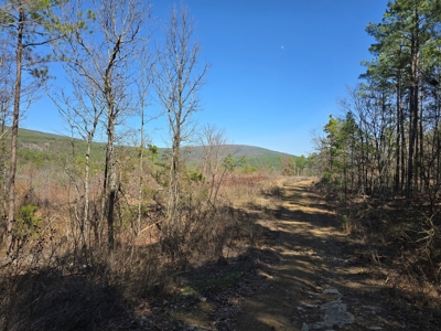 19.5 Acre Off-Grid Cabin Building Location – Mountain Views - image 17