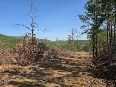 19.5 Acre Off-Grid Cabin Building Location – Mountain Views - image 2