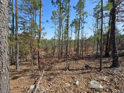 19.5 Acre Off-Grid Cabin Building Location – Mountain Views - image 6