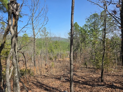 19.5 Acre Off-Grid Cabin Building Location – Mountain Views - image 11