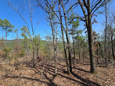19.5 Acre Off-Grid Cabin Building Location – Mountain Views - image 13