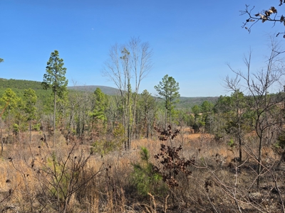 19.5 Acre Off-Grid Cabin Building Location – Mountain Views - image 14