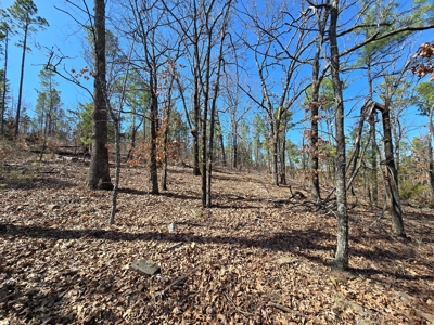 19.5 Acre Off-Grid Cabin Building Location – Mountain Views - image 10