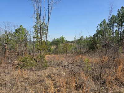 19.5 Acre Off-Grid Cabin Building Location – Mountain Views - image 15