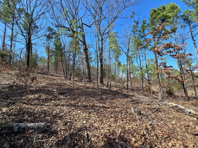 19.5 Acre Off-Grid Cabin Building Location – Mountain Views - image 12