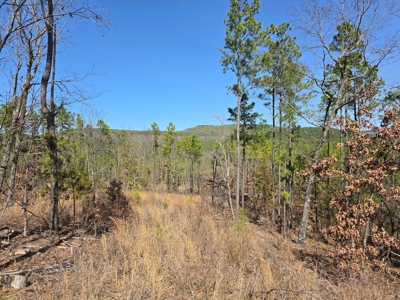 19.5 Acre Off-Grid Cabin Building Location – Mountain Views - image 8