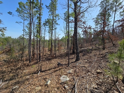 19.5 Acre Off-Grid Cabin Building Location – Mountain Views - image 5