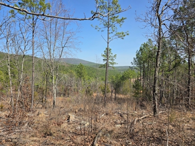 19.5 Acre Off-Grid Cabin Building Location – Mountain Views - image 9