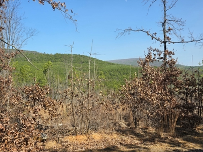 19.5 Acre Off-Grid Cabin Building Location – Mountain Views - image 4