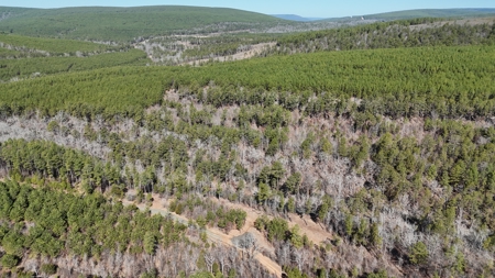 Nashoba, Ok Land For Sale - Hardy Creek Estates Tract #27 - image 23