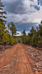 Nashoba, Ok Land For Sale - Hardy Creek Estates Tract #27 - image 2