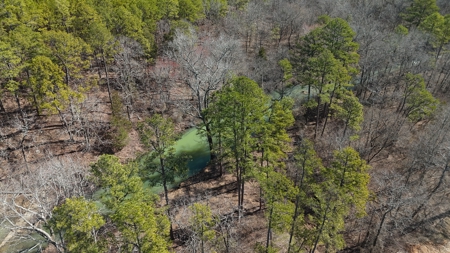 Nashoba, Ok Land For Sale - Hardy Creek Estates Tract #27 - image 22