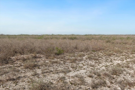 42.84 Acres Recreational Hunting Property For Sale - image 6