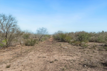 42.84 Acres Recreational Hunting Property For Sale - image 2