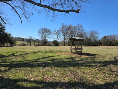 Southeast Oklahoma Cattle Ranch For Sale - image 19