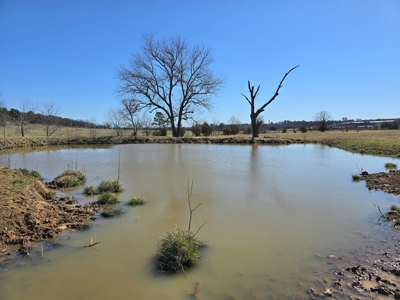 Southeast Oklahoma Cattle Ranch For Sale - image 5