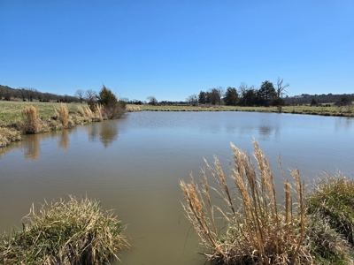 Southeast Oklahoma Cattle Ranch For Sale - image 2