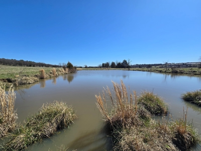 Southeast Oklahoma Cattle Ranch For Sale - image 7