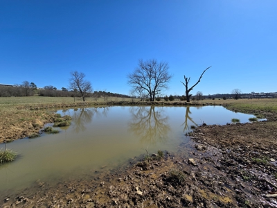 Southeast Oklahoma Cattle Ranch For Sale - image 26